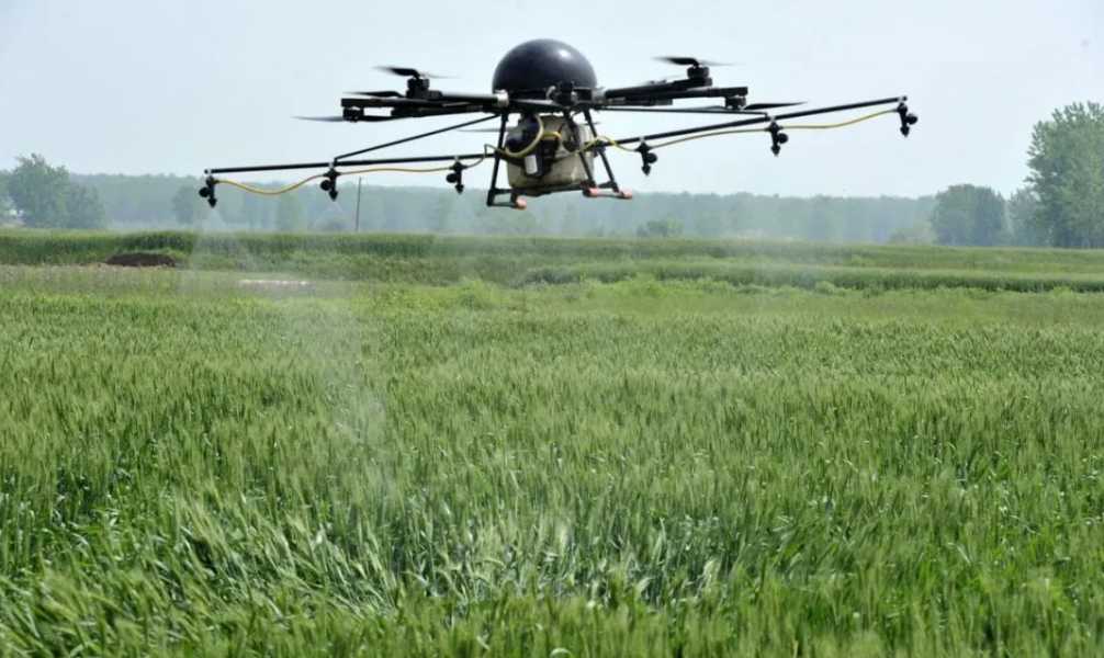 Russia: The World's Leading Grain Exporter