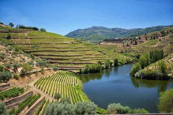 Douro: Portugal's Premier Wine - Producing Powerhouse
